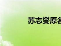 蘇志燮原名(蘇志燮怎么讀) 蘇志燮原名(蘇志燮怎么讀)