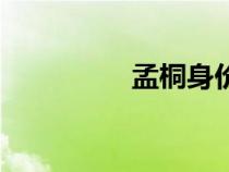孟桐身價(jià)多少億（孟桐）