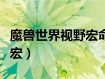 魔獸世界視野宏命令怎么使用（魔獸世界視野宏）