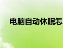 電腦自動休眠怎么解除（電腦自動休眠）