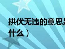 拱伏無違的意思是什么?(拱伏無違的意思是什么) 拱伏無違的意思是什么?(拱伏無違的意思是什么)