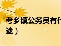 考鄉(xiāng)鎮(zhèn)公務(wù)員有什么好處（考鄉(xiāng)鎮(zhèn)公務(wù)員有前途）