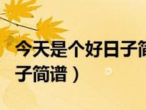 今天是個(gè)好日子簡譜教唱視頻（今天是個(gè)好日子簡譜）