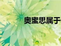 奧蜜思屬于什么檔次（奧蜜思）
