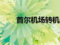 首爾機(jī)場(chǎng)轉(zhuǎn)機(jī)過夜攻略(首爾機(jī)場(chǎng)) 首爾機(jī)場(chǎng)轉(zhuǎn)機(jī)過夜攻略(首爾機(jī)場(chǎng))