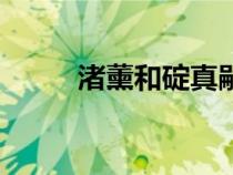 渚薰和碇真嗣是什么關(guān)系（渚薰）