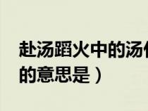 赴湯蹈火中的湯什么意思?（赴湯蹈火之中湯的意思是）
